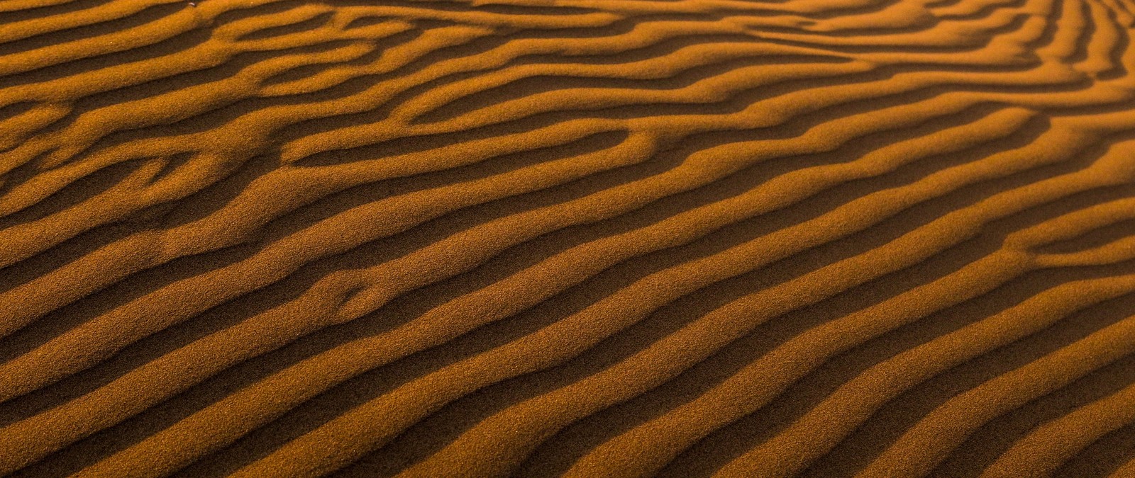 Lade sand, dune, holz, muster, landschaft Hintergrund herunter