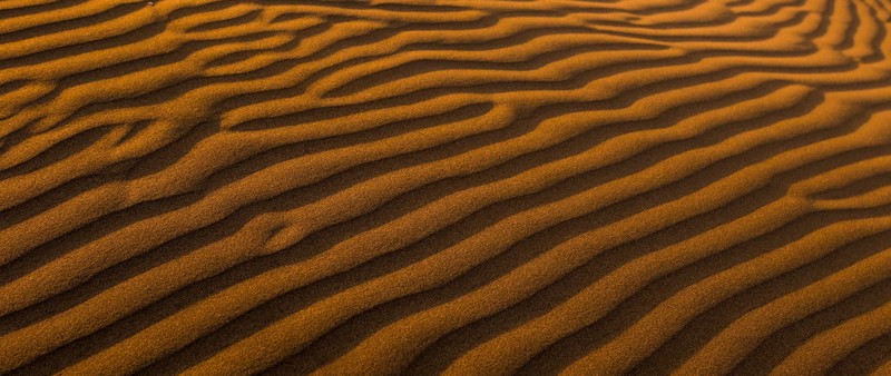 Близкий план пустыни с несколькими песчаными дюнами (песок, дюна, dune, дерево, узор)