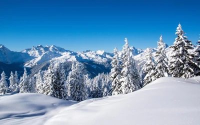 Paysage alpin enneigé avec chaîne de montagnes majestueuse et sapins