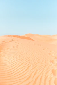 Sandy Dunes Under a Clear Sky in the Sahara Desert