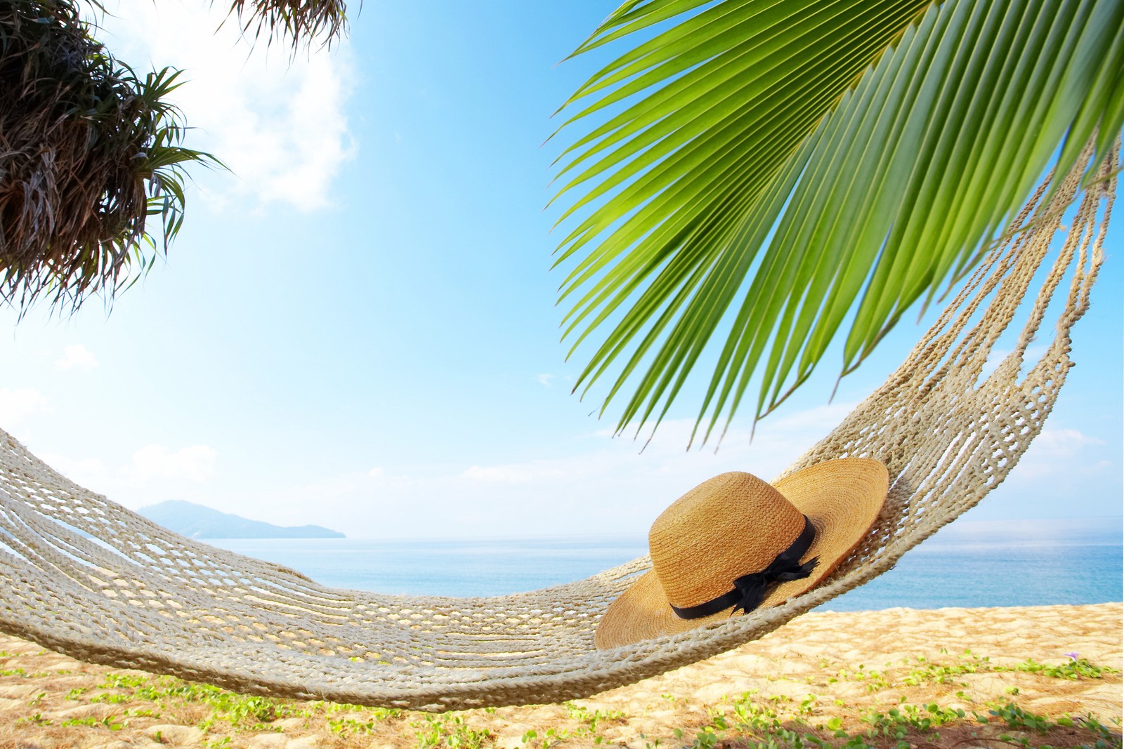 Lade urlaub, strand, sommer, hängematte, baum Hintergrund herunter