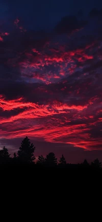 Lebendiger Sonnenuntergangsnachglühen über silhouettierten Bäumen