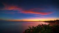 Horizonte Tranquilo ao Amanhecer: Uma Reflexão Vibrante do Crepúsculo