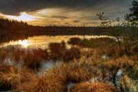 sunset, nature, reflection, wetland, nature reserve wallpaper