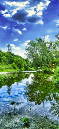 reflexion, baum, wolke, wasser, pflanze