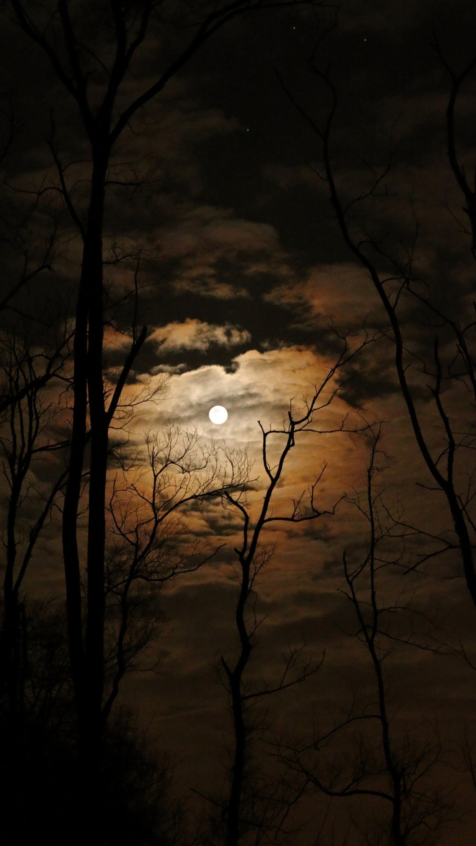 Vue aérienne d'une pleine lune dans le ciel avec des arbres (nature, nuit)