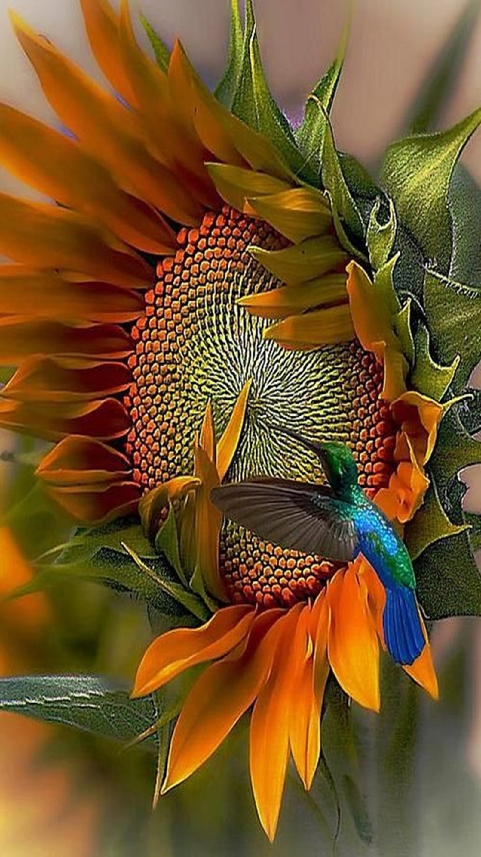 Hay un pájaro sentado en un girasol con plumas azules y amarillas (ave, girasol)