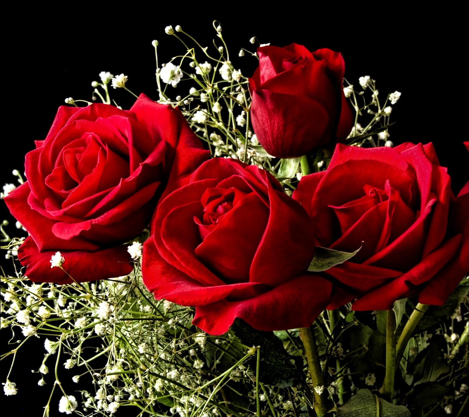 There are three roses in a vase with baby's breath (red, roses)