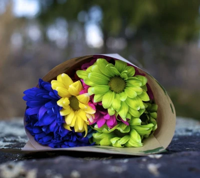 blumen, mehrfarbig, natur