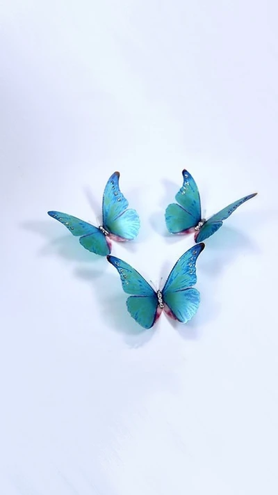 blue, butterflies, wings