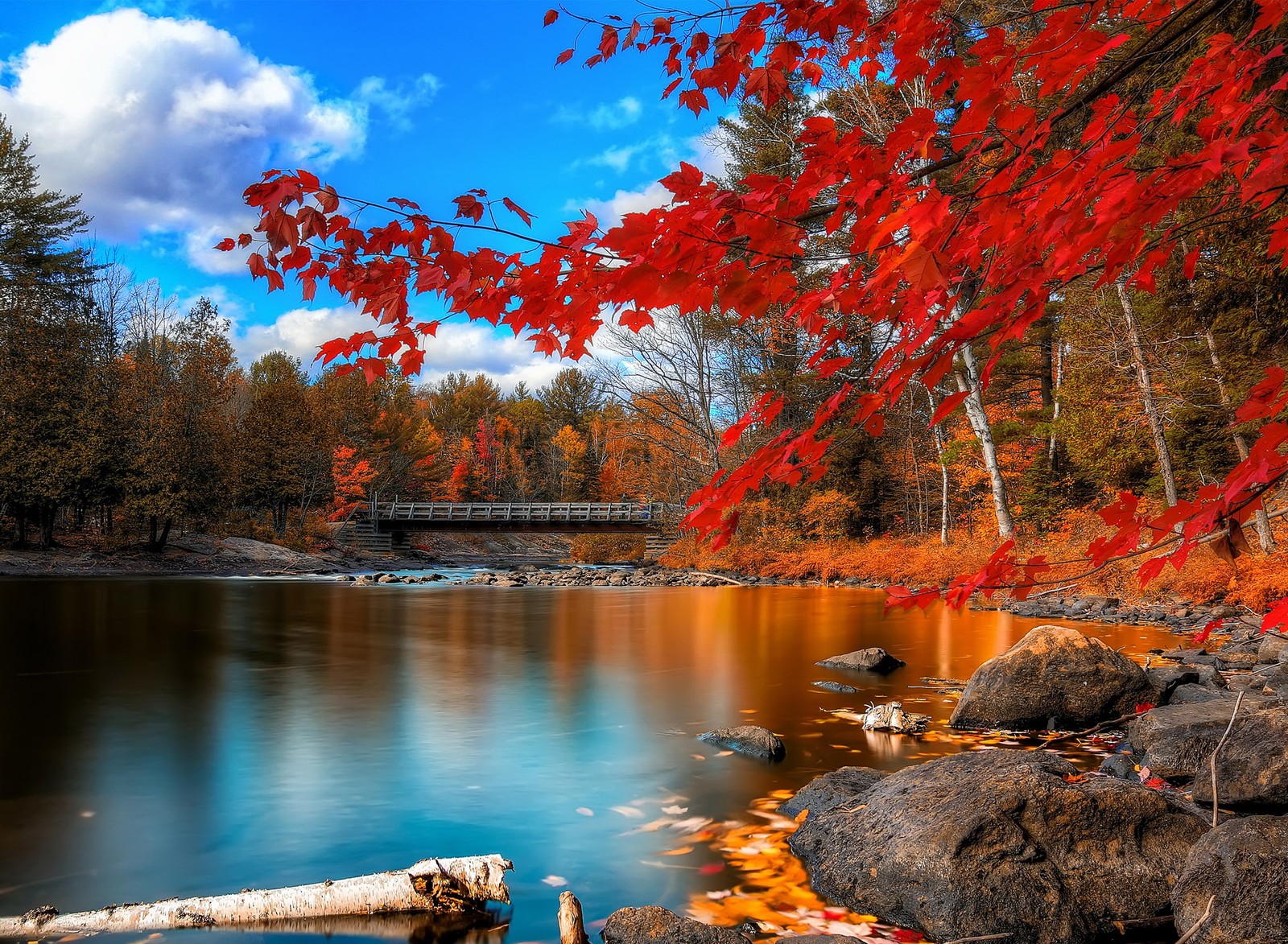 A view of a bridge over a river with red leaves (landscape, nature)