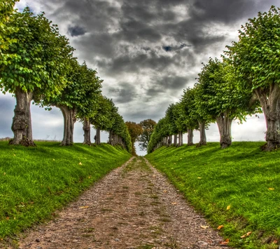 2015, pathway, trees