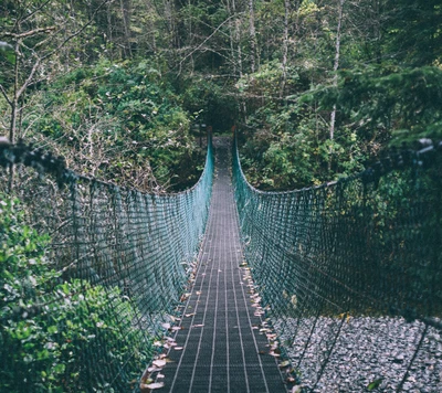 Suspension Bridge Through Lush Greenery