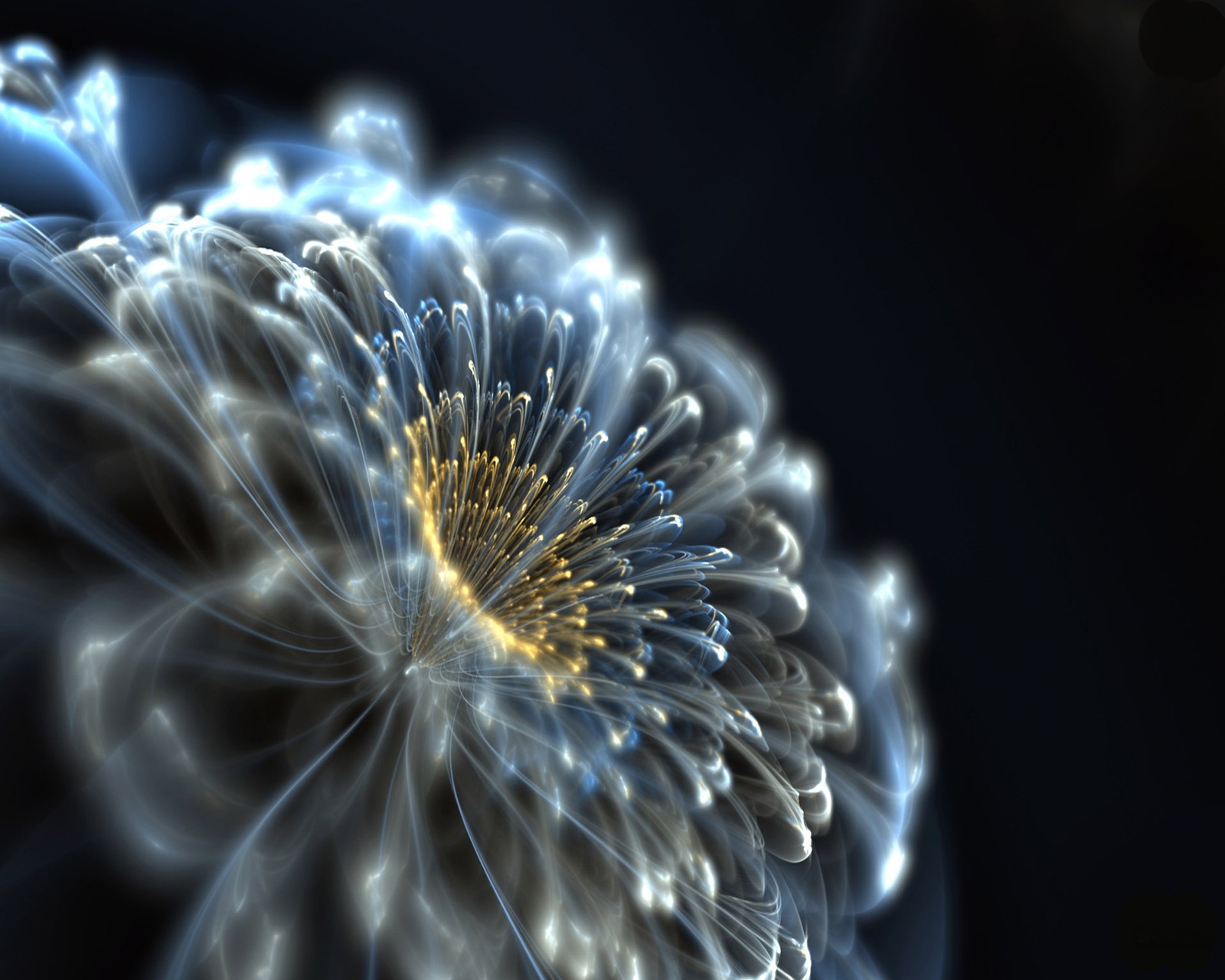 Gros plan d'une fleur sur fond bleu (3d, abstraits)