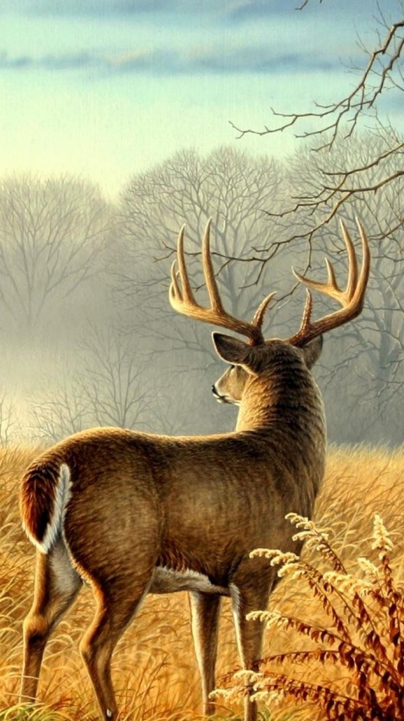 Painting of a deer standing in a field with trees in the background (beautiful, natcher)