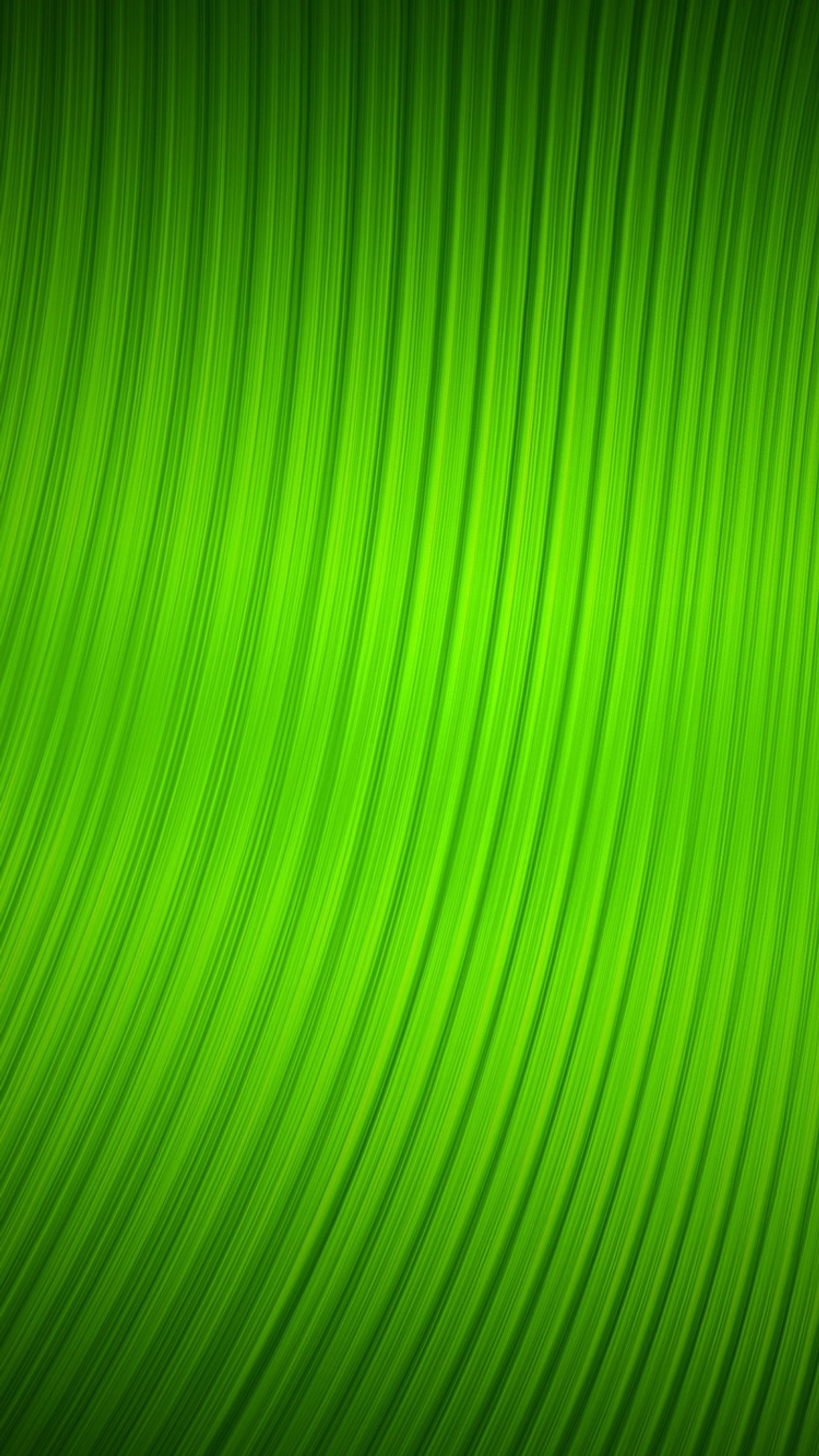 A green background with a wavy design (green, leaf, pattern, texture)