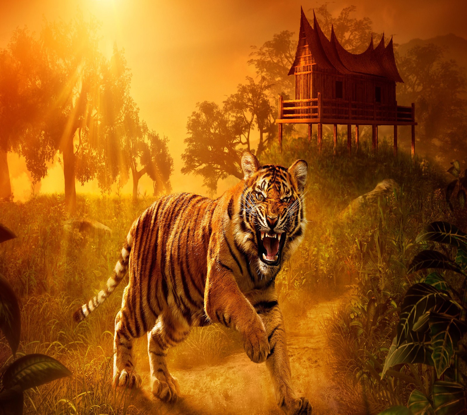 Download tiger, wallpaper for free