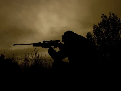 Silent Vigil: The Art of Ambush Sniping