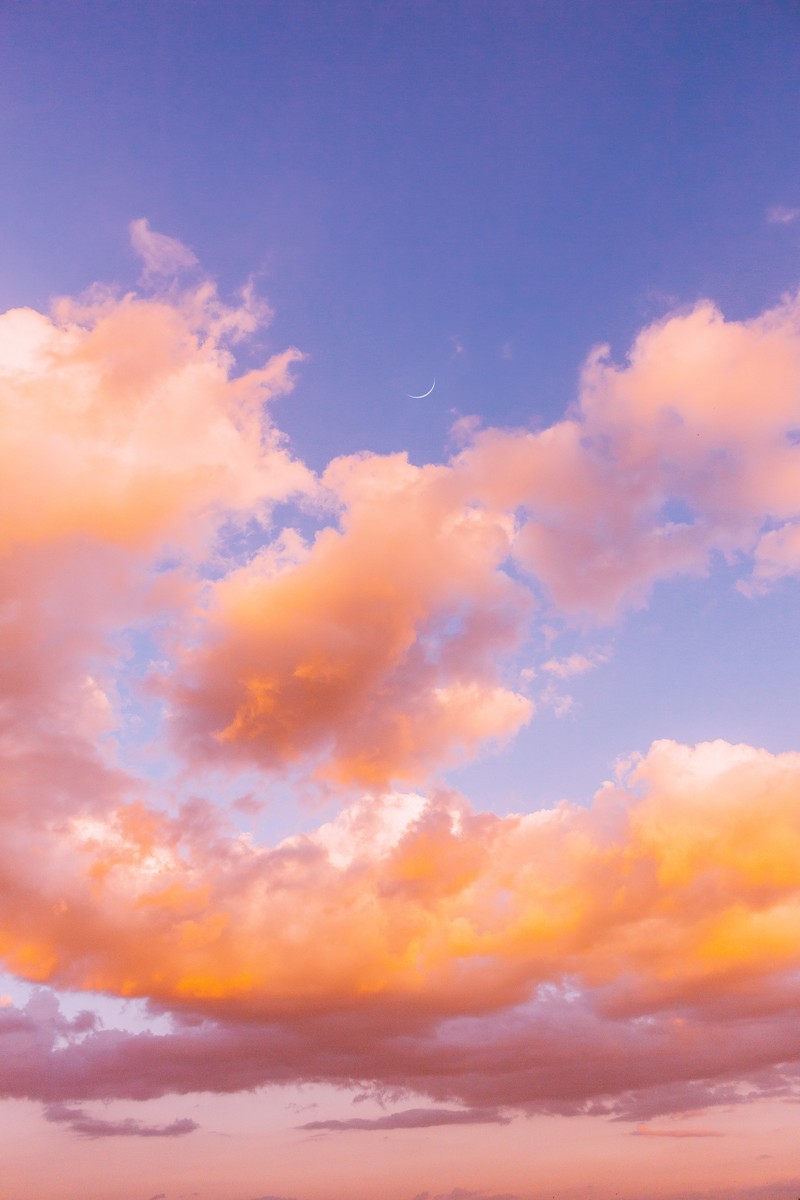 Un grand groupe de personnes montées à cheval sur une plage (nuage, journée, crépuscule, cumulus, atmosphère)