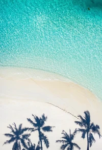 Aguas turquesas y sombras de palmeras en una playa serena