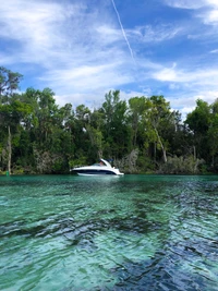 Serene Lake Scene with Boat and Lush Greenery