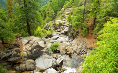 cauce, reserva natural, vegetación, arroyo, zona ribereña