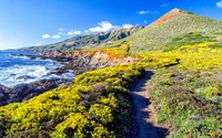 big sur, linha costeira, califórnia, california, rodovia da costa do pacífico