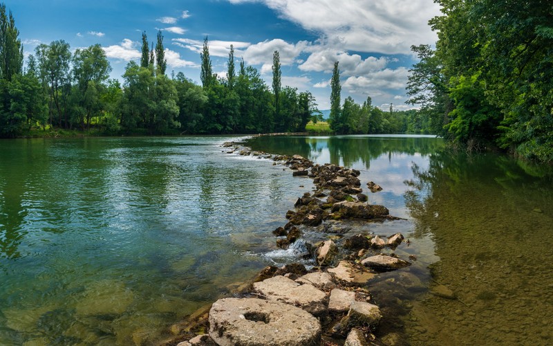 Река с камнями и деревьями на заднем плане (природа, вода, облако, водные ресурсы, растение)