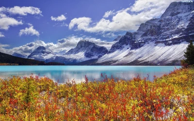 Vibrant Autumn Colors Surrounding Bow Lake with Majestic Mountain Backdrop in Yoho National Park