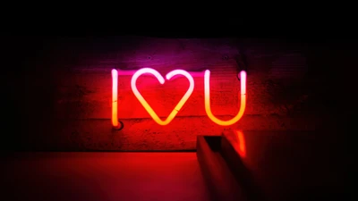 Neon 'I Love You' Sign Against a Dark Background