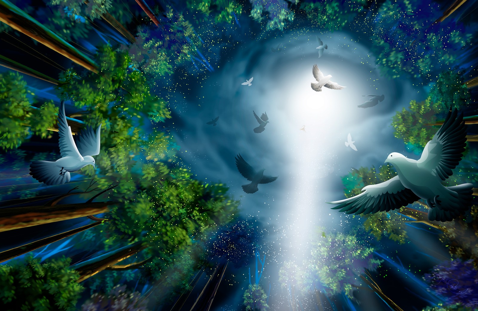 midnight, forest, pigeons, light, illustration wallpaper