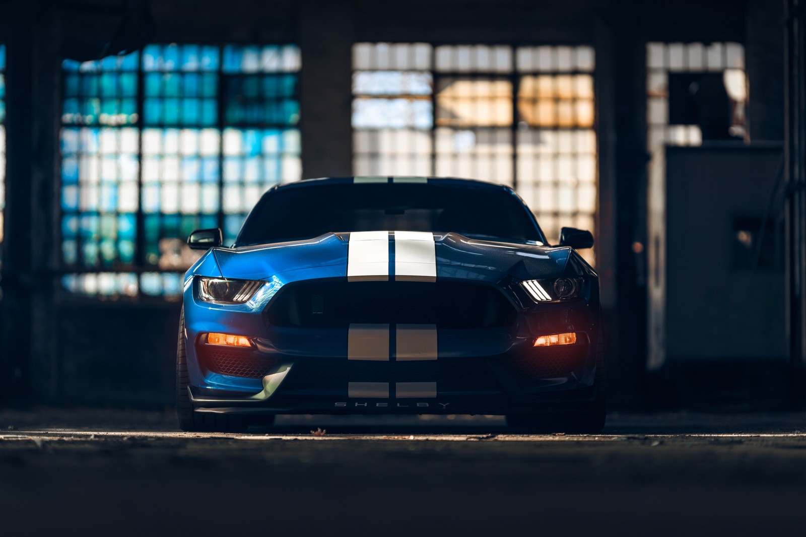 Un gros plan d'un mustang bleu garé dans un garage (ford mustang shelby gt350, voiture musclée américaine, voitures de sport musclées, 5k, voitures)