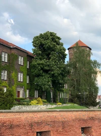 Mittelalterliches Backsteingebäude mit Turm und üppigem Grün