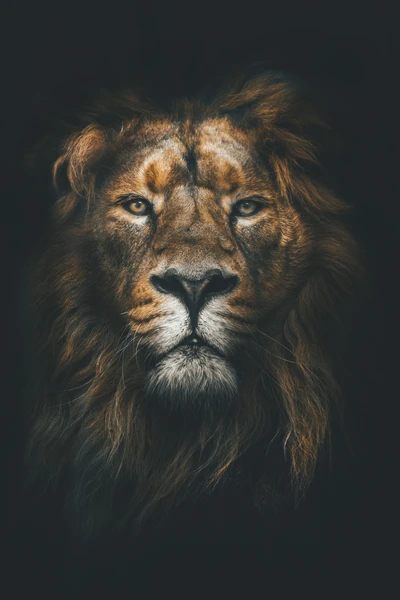 Majestic Lion: The King of the Land