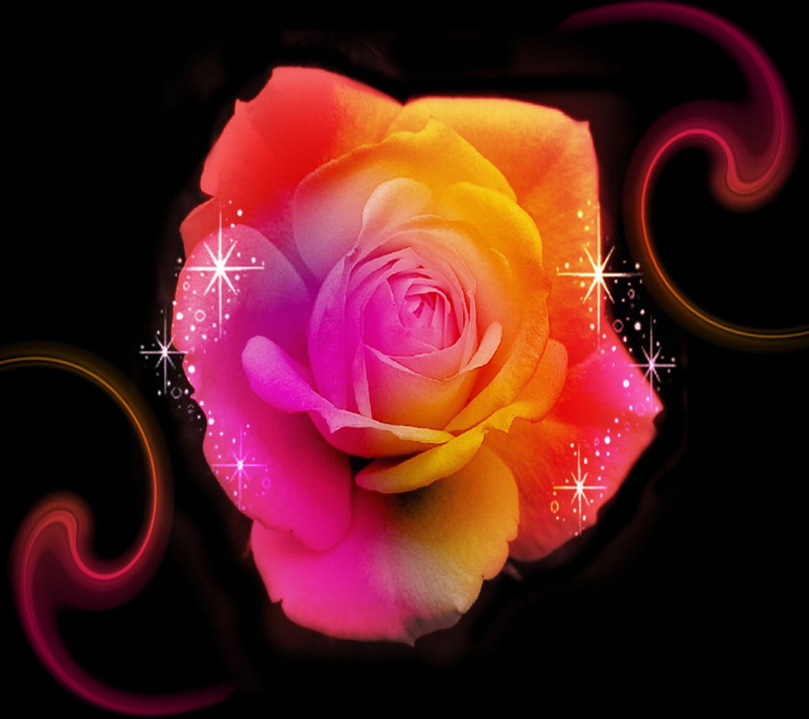 Uma rosa de cores vibrantes com espirais e brilhos em um fundo preto (colorido, rosa)