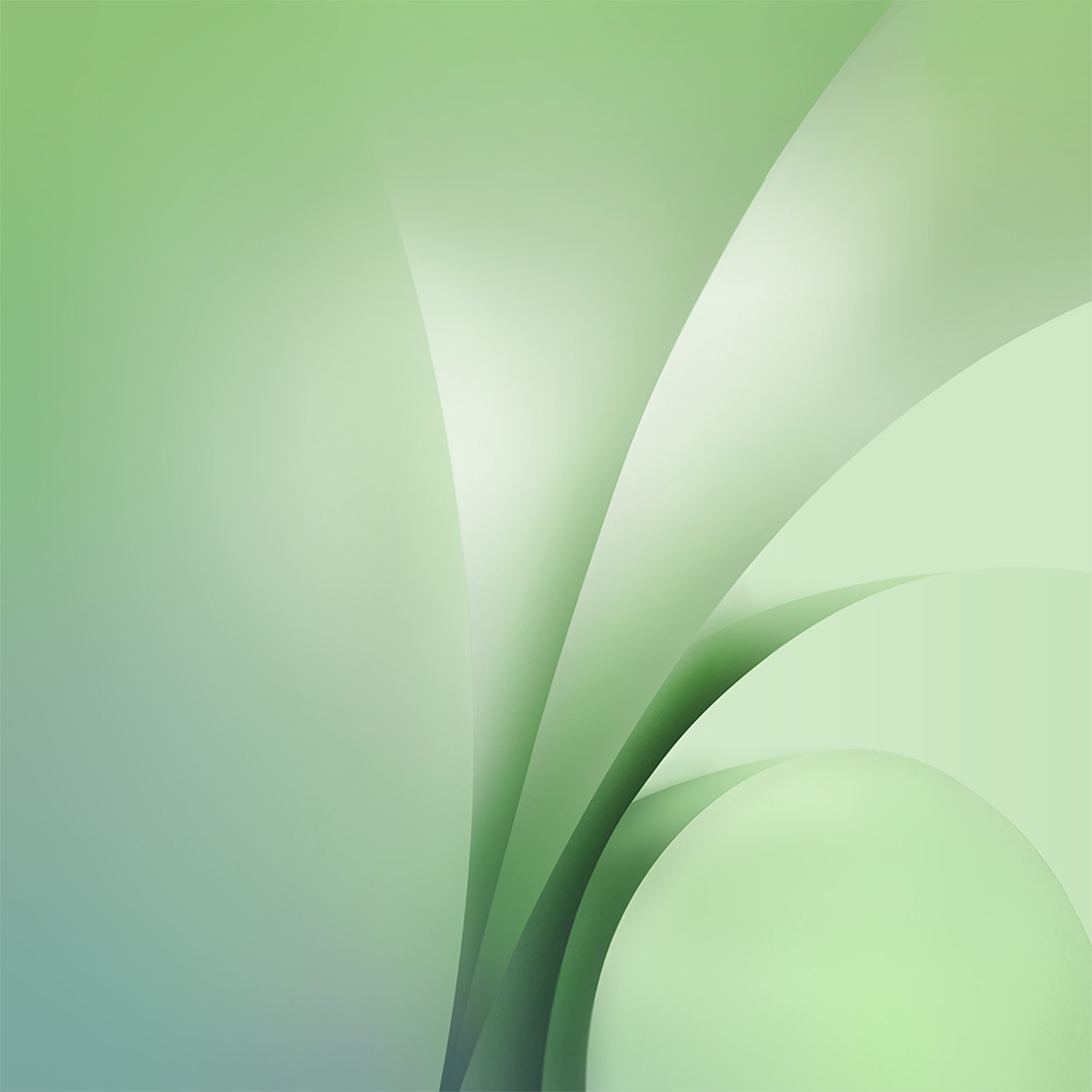 A close up of a green and white abstract background with a curved design (apples, green, colorfulness)