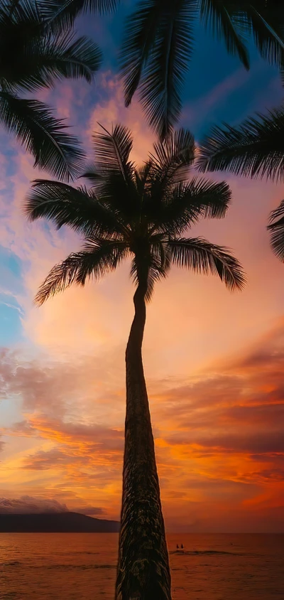 Silueta de palmera contra un vibrante cielo al atardecer