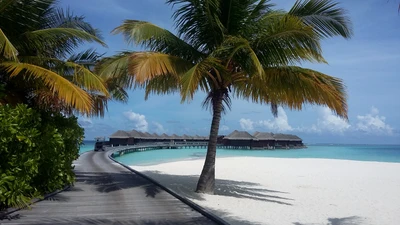 Paraíso tropical: serenidad junto al océano Índico con palmeras y bungalows sobre el agua