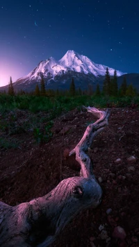 nature, earth, atmosphere, mountain, plant