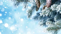 new year, christmas day, tree, winter, branch wallpaper