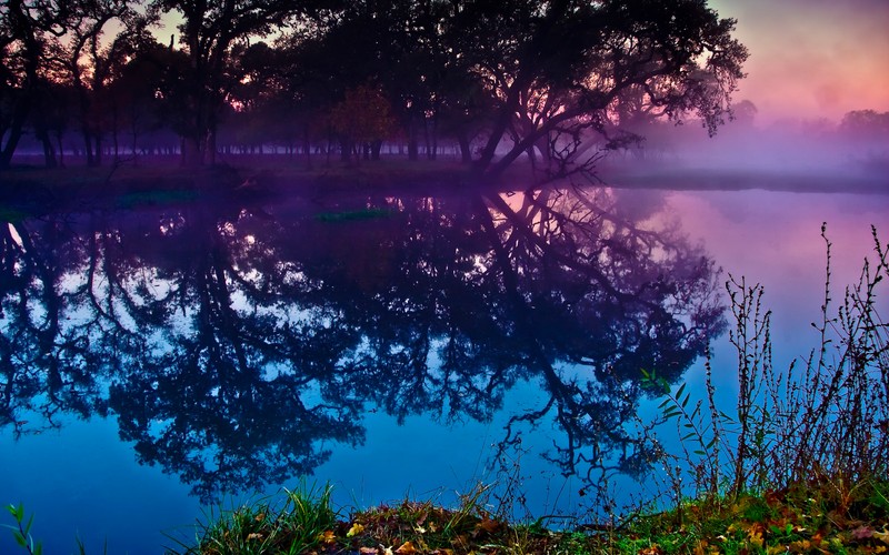 Une vue sur un lac avec des arbres et de la brume en arrière-plan (lagune de santa rosa, laguna de santa rosa, arbres, lac, réflexions)