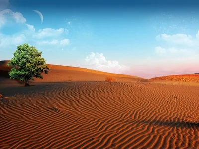 Sérénité matinale dans le désert du Sahara : dunes et arbre solitaire sous un ciel bleu