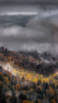 Hochland Nachglühen: Ein nebliger Dämmerung über herbstlichen Wäldern