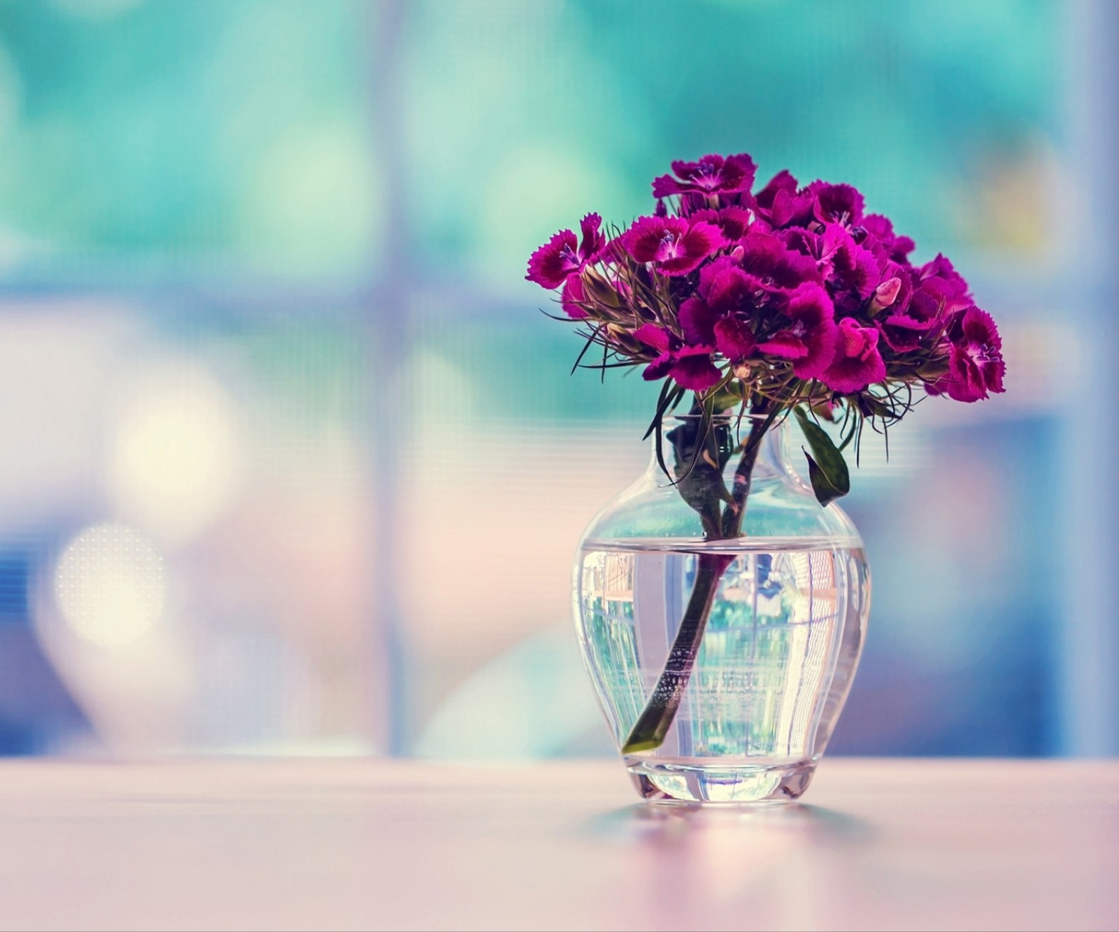 There is a vase with purple flowers in it on a table (flowers, glass, purple, vase)