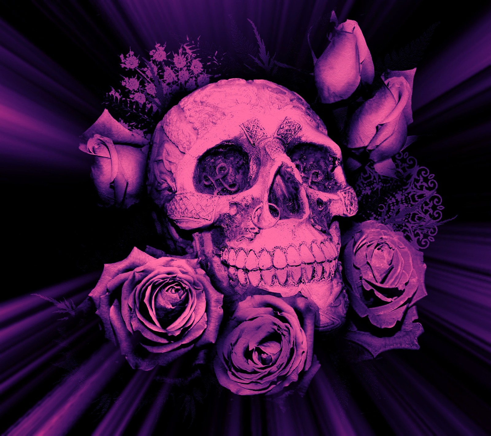 Rosas moradas y una calavera están en medio de un fondo morado (rosas, calavera y)