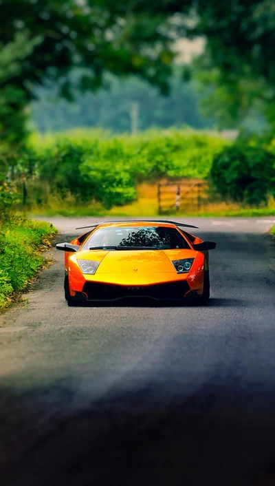 coche, lamborghini, camino