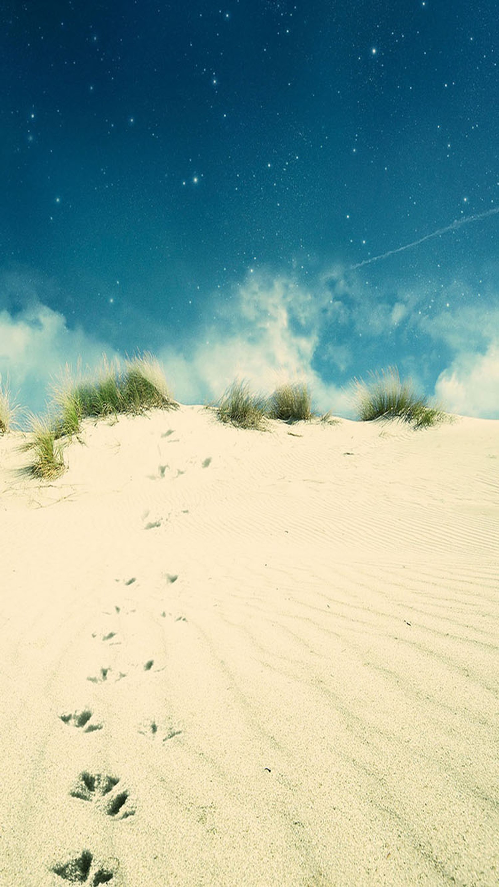 Fußabdrücke im sand eines strandes mit blauem himmel (fuß, drucken)