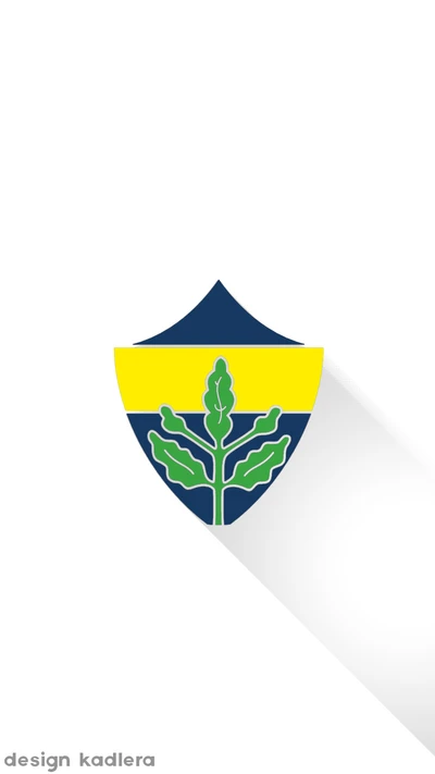 fenerbahçe, fenerbahce, efecto sombra