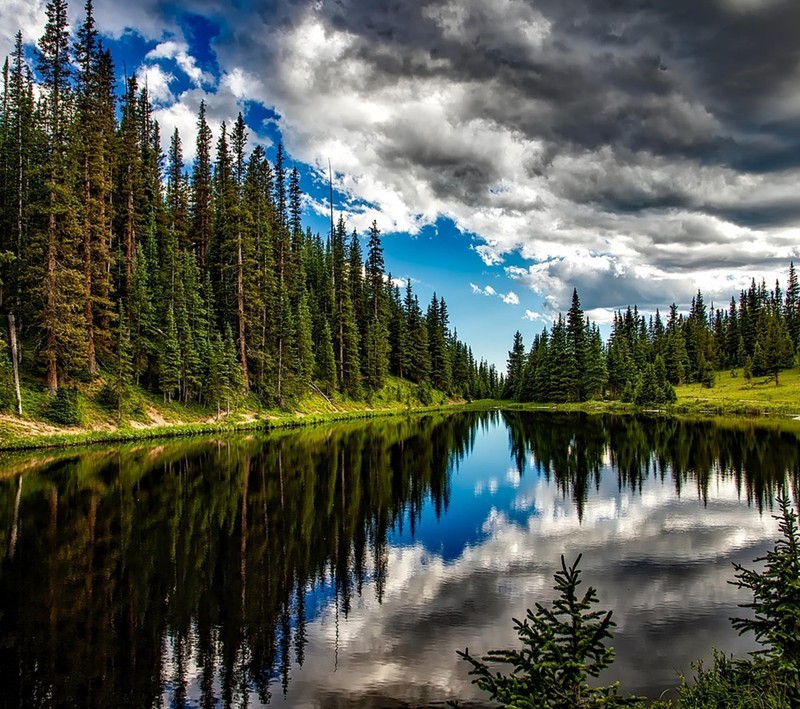 Une vue d'un lac entouré d'arbres et de nuages (ciel, eau)