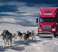 Verspielte Hunde ziehen einen Lastwagen durch eine verschneite Landschaft